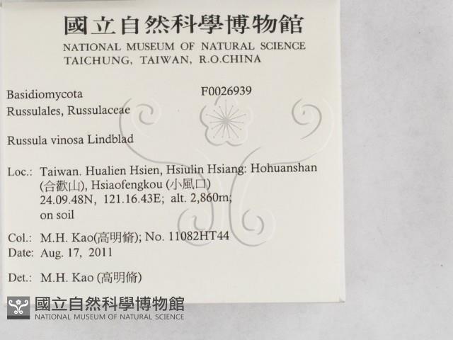 登錄號:F0026939藏品圖，第2張