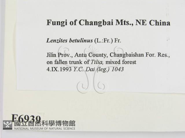 登錄號:F0006939藏品圖，第2張