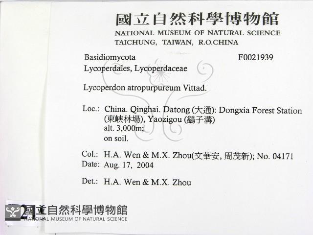 登錄號:F0021939藏品圖，第2張