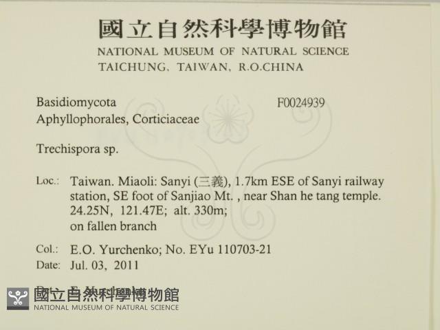 登錄號:F0024939藏品圖，第2張