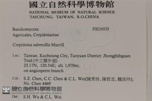 登錄號:F0034939藏品圖，第2張