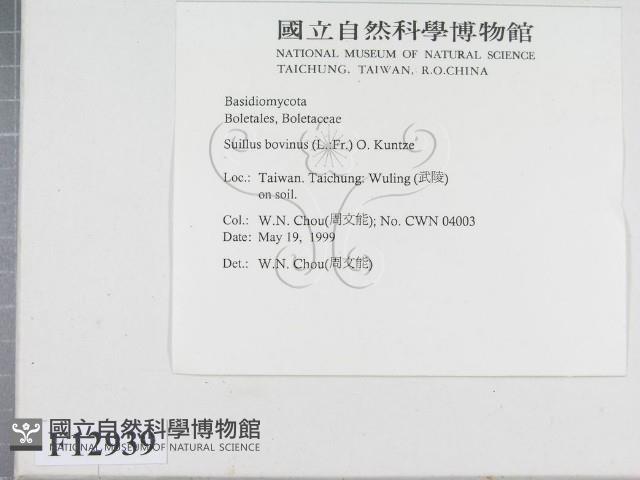 登錄號:F0012939藏品圖，第2張