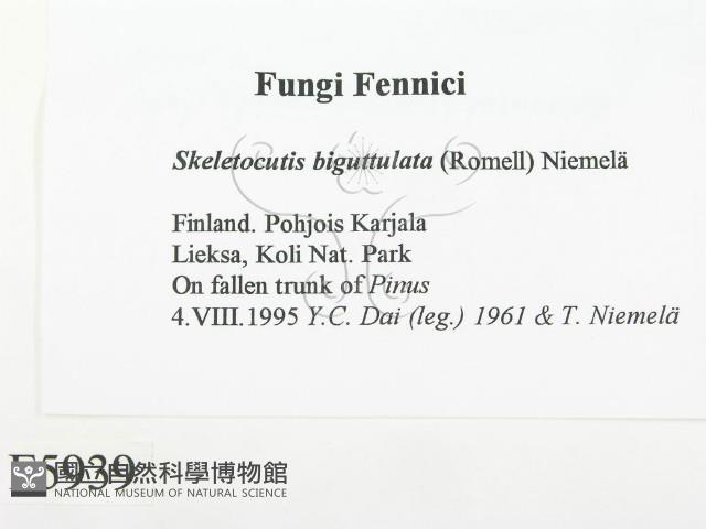 登錄號:F0005939藏品圖，第2張