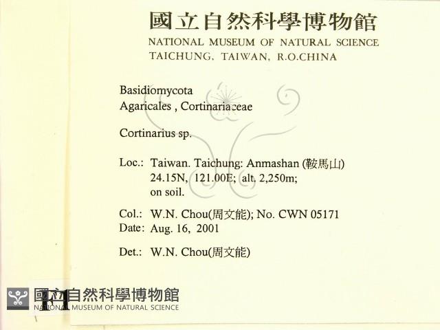 登錄號:F0015939藏品圖，第2張