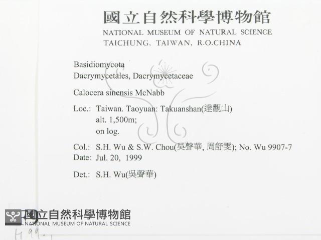 登錄號:F0009939藏品圖，第2張