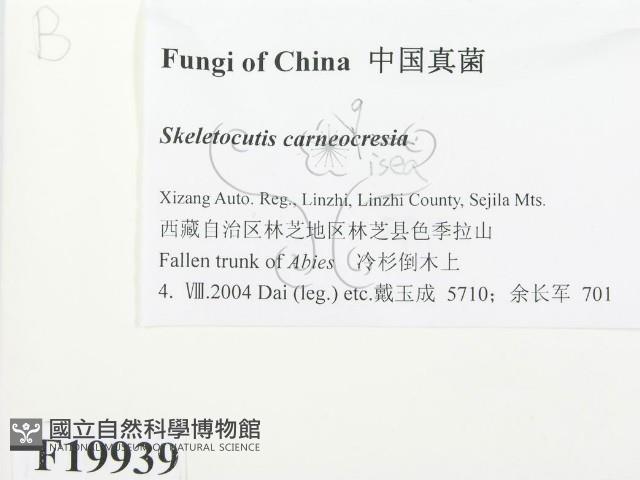 登錄號:F0019939藏品圖，第2張