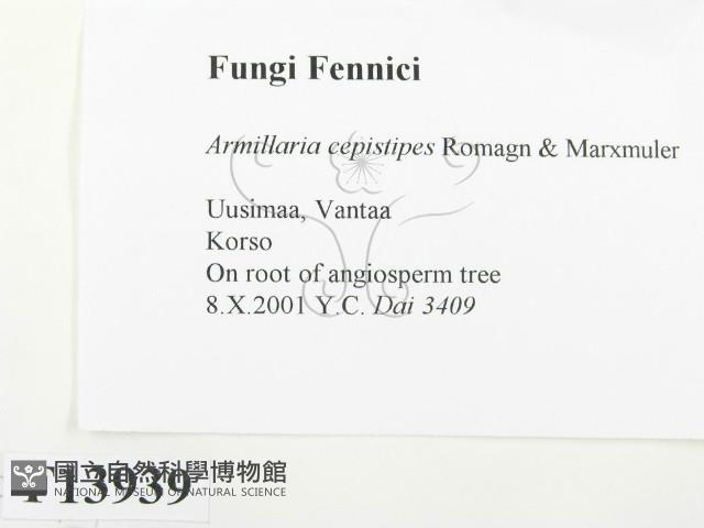 登錄號:F0013939藏品圖，第2張