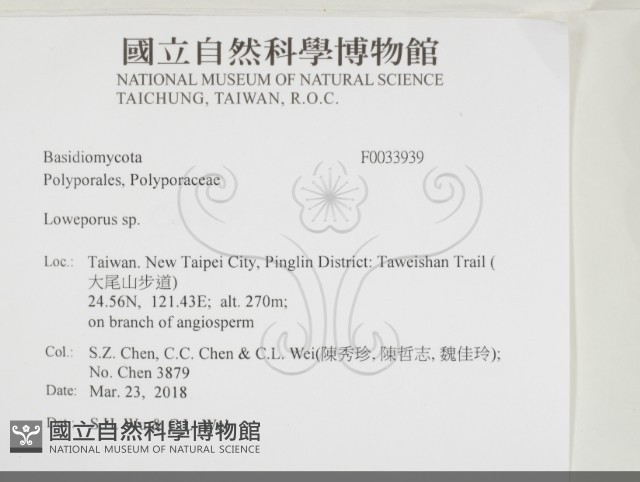 登錄號:F0033939藏品圖，第2張