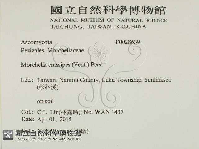 登錄號:F0028639藏品圖，第2張