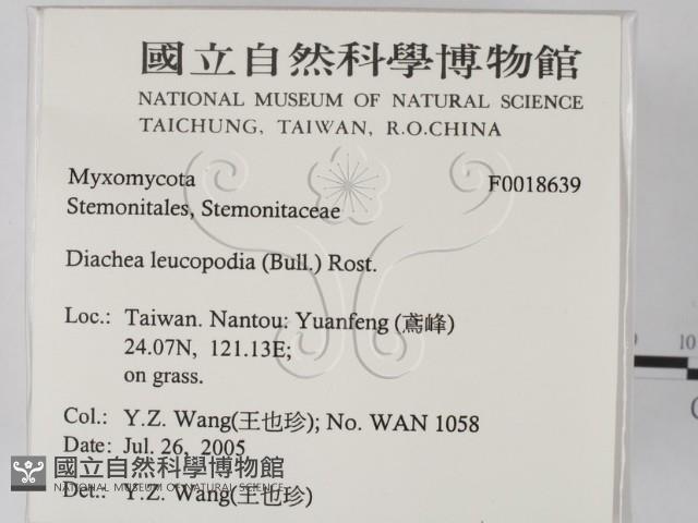 登錄號:F0018639藏品圖，第2張