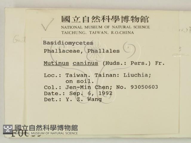 登錄號:F0000639藏品圖，第2張