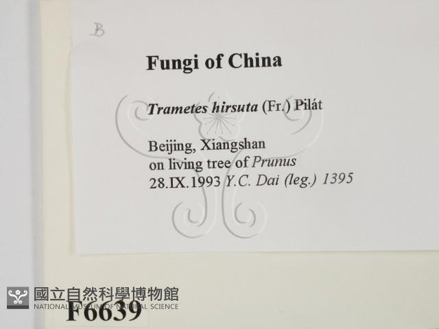 登錄號:F0006639藏品圖，第2張