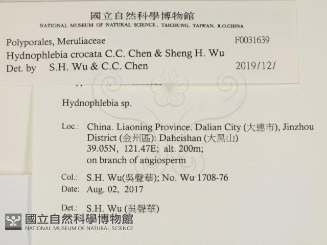 登錄號:F0031639藏品圖，第2張