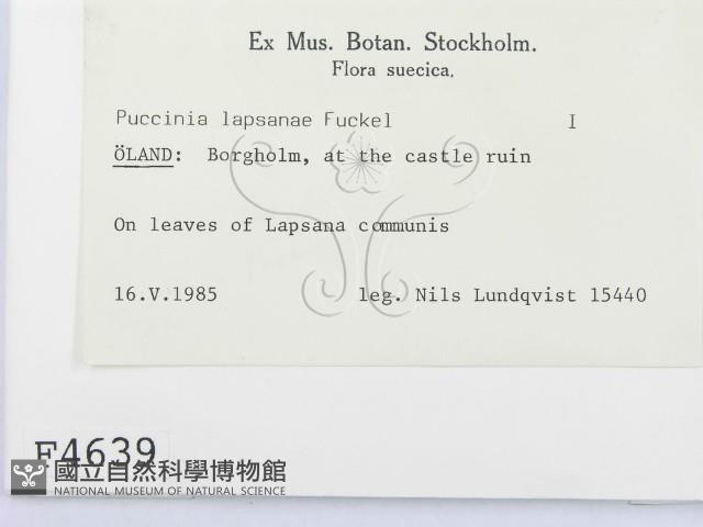 登錄號:F0004639藏品圖，第2張