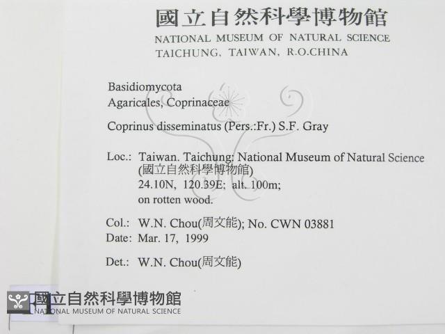 登錄號:F0012639藏品圖，第2張