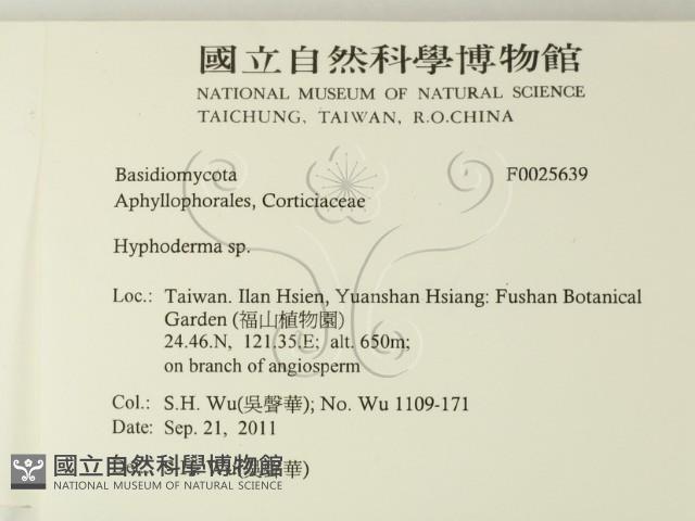 絲皮菌屬藏品圖，第2張