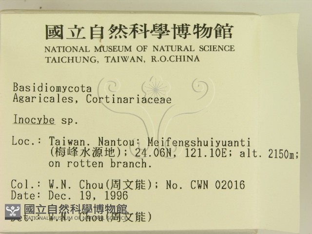 登錄號:F0005639藏品圖，第2張