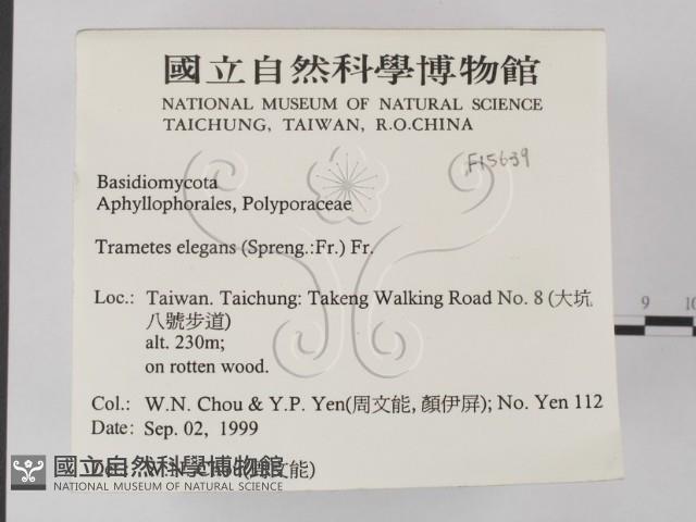 登錄號:F0015639藏品圖，第2張