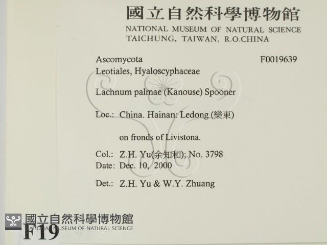 登錄號:F0019639藏品圖，第2張