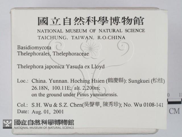 登錄號:F0013639藏品圖，第2張