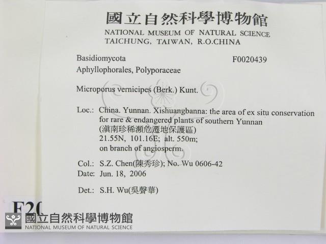登錄號:F0020439藏品圖，第2張