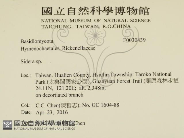 登錄號:F0030439藏品圖，第2張