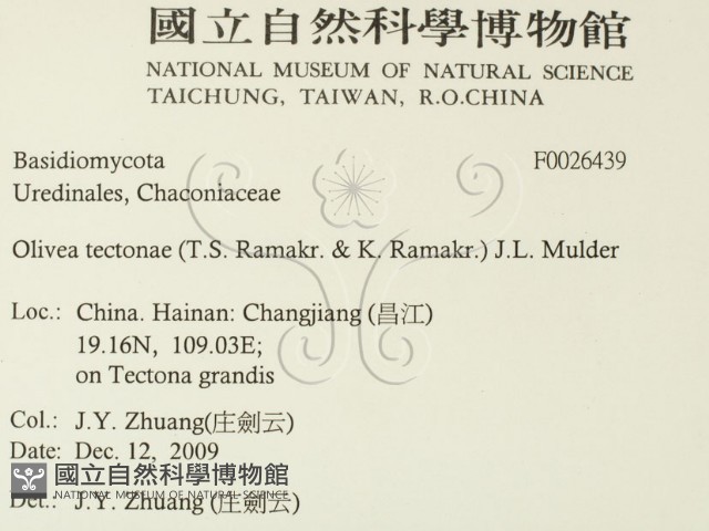 登錄號:F0026439藏品圖，第2張
