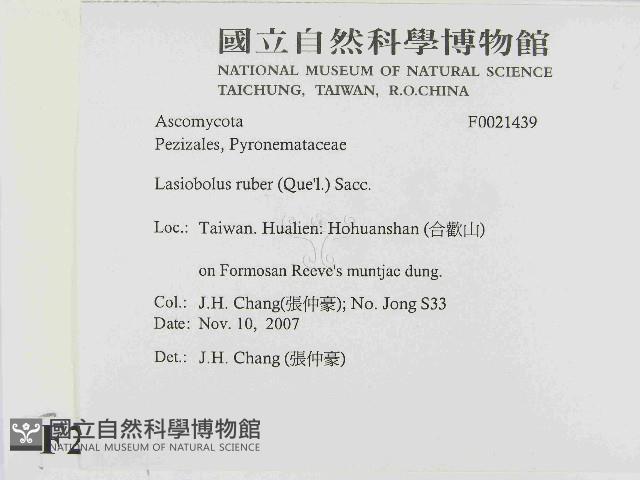 登錄號:F0021439藏品圖，第2張