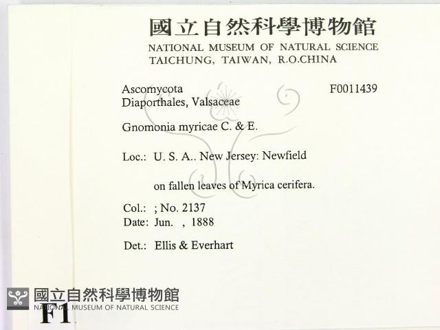 登錄號:F0011439藏品圖，第2張