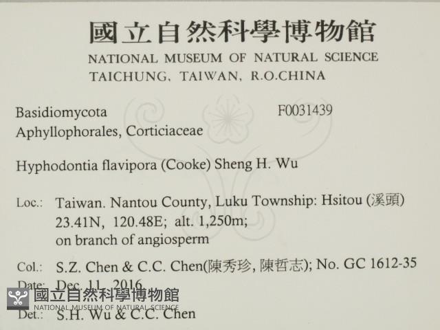 登錄號:F0031439藏品圖，第2張