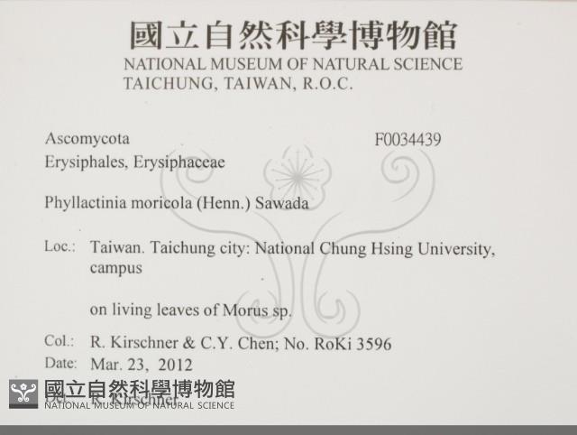 登錄號:F0034439藏品圖，第2張