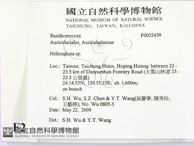 登錄號:F0022439藏品圖，第2張