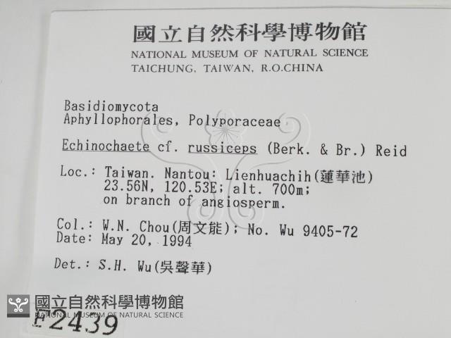 登錄號:F0002439藏品圖，第2張