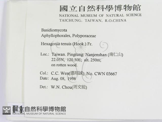 登錄號:F0012439藏品圖，第2張