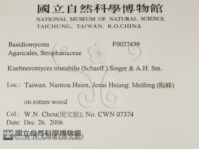 登錄號:F0027439藏品圖，第2張