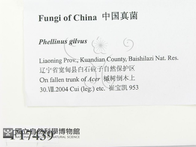 登錄號:F0017439藏品圖，第2張