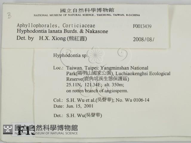 登錄號:F0013439藏品圖，第2張