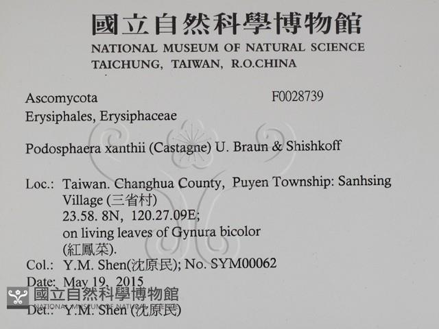 登錄號:F0028739藏品圖，第2張