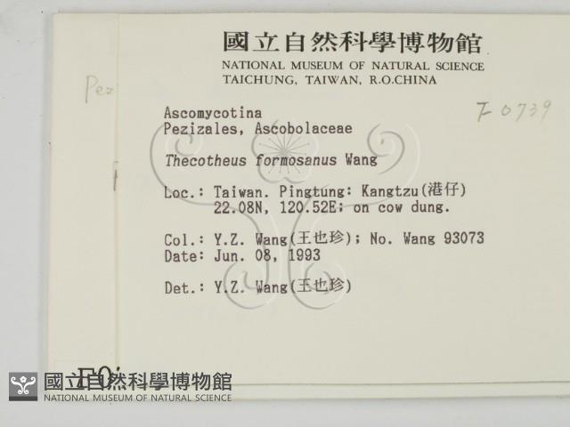 登錄號:F0000739藏品圖，第2張