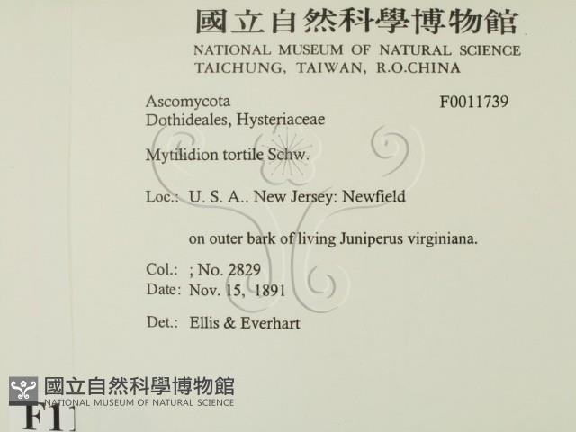 登錄號:F0011739藏品圖，第2張