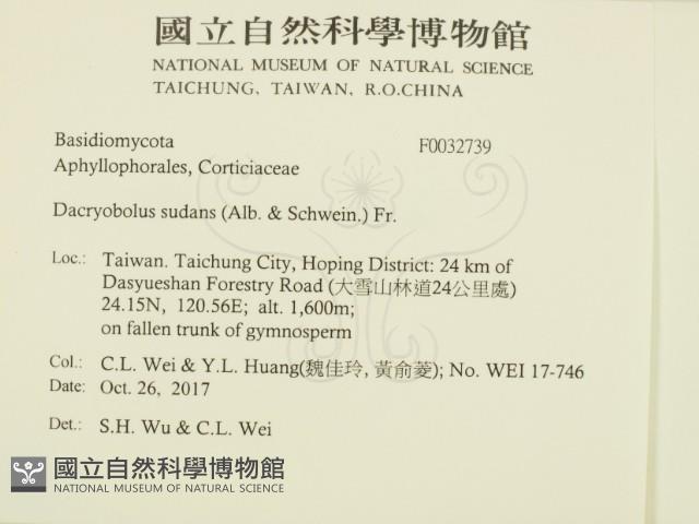 登錄號:F0032739藏品圖，第2張