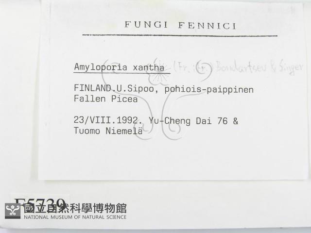 登錄號:F0005739藏品圖，第2張