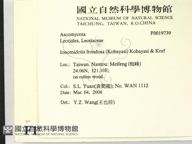 登錄號:F0019739藏品圖，第2張