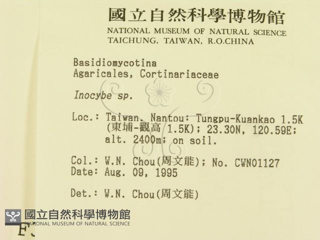 登錄號:F0003739藏品圖，第2張