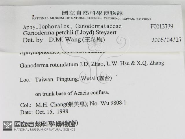 登錄號:F0013739藏品圖，第2張