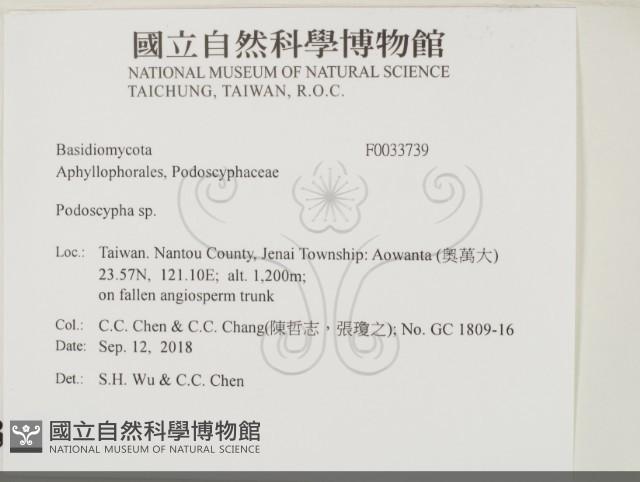登錄號:F0033739藏品圖，第2張