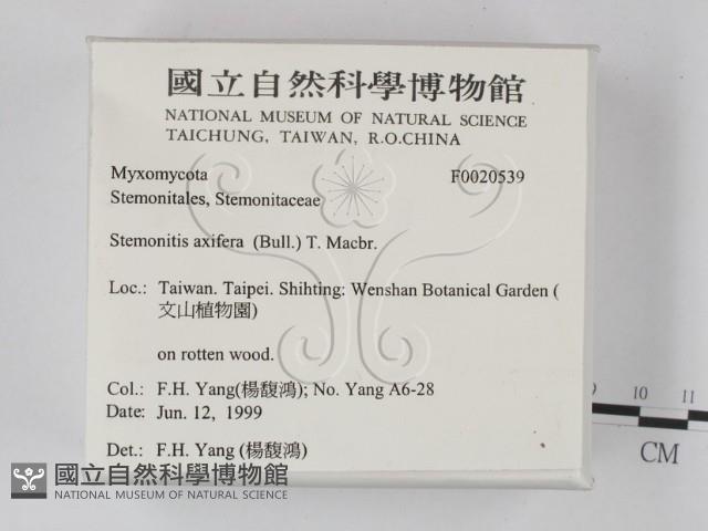 登錄號:F0020539藏品圖，第2張