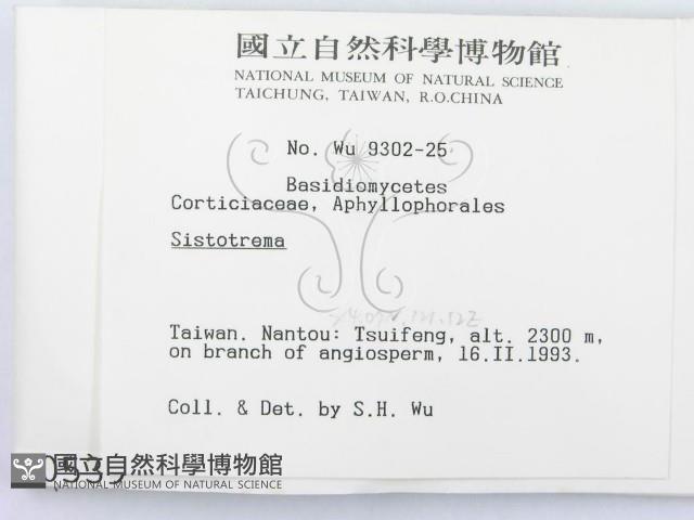 登錄號:F0000539藏品圖，第2張
