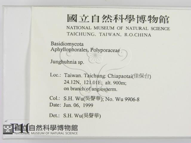 登錄號:F0010539藏品圖，第2張