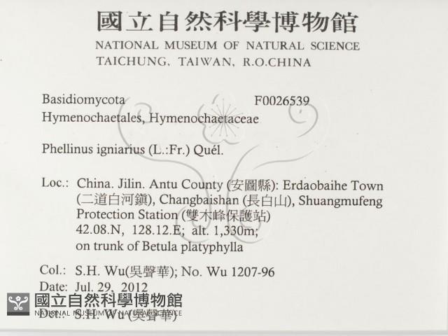 登錄號:F0026539藏品圖，第2張